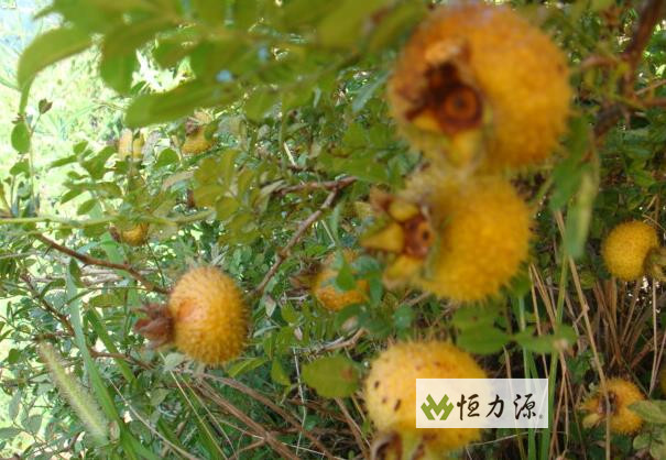 ���� (20).jpg