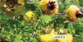 ���� (21).jpg