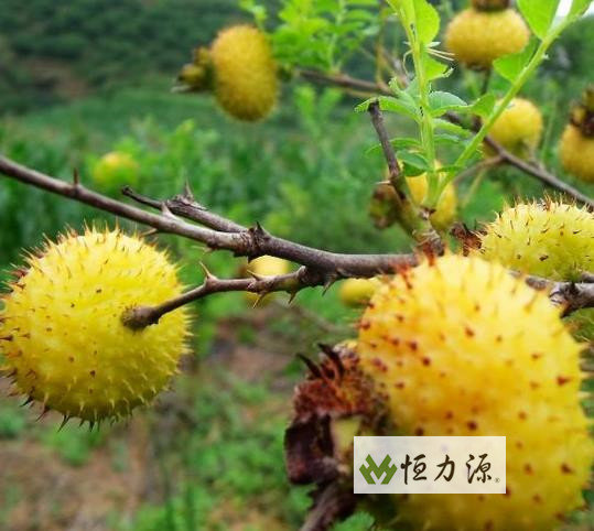 ���� (22).jpg