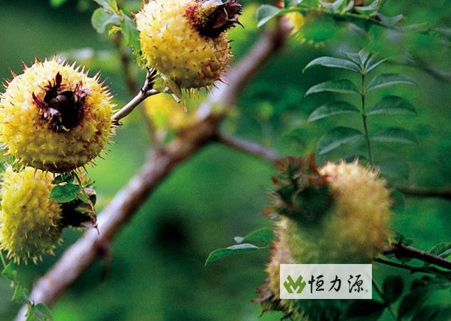 ���� (17).jpg