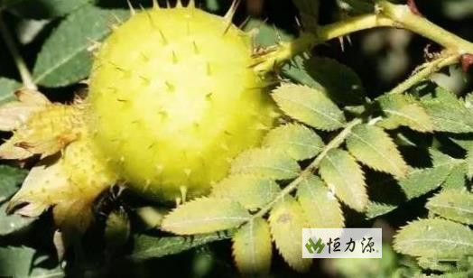 ���� (23).jpg