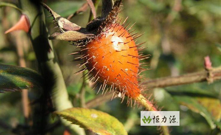 ���� (25).jpg