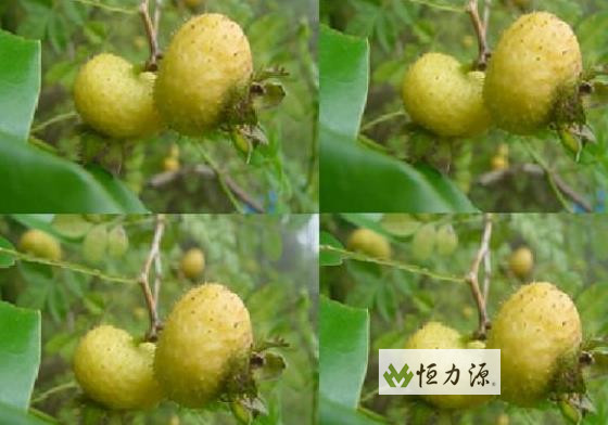 ���� (24).jpg