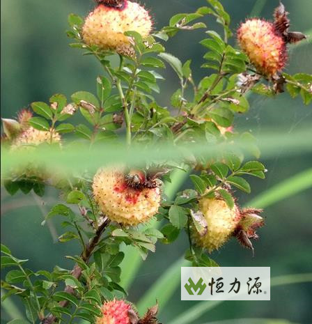 ���� (26).jpg