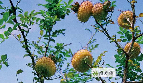 ���� (27).jpg