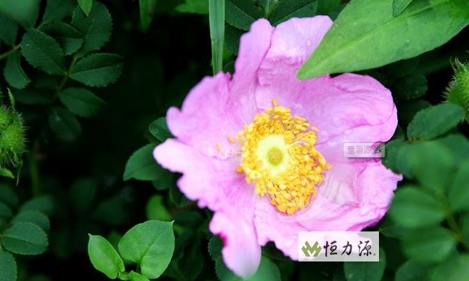 ���� (30).jpg