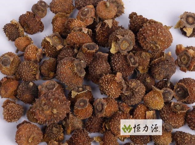 ���� (31).jpg