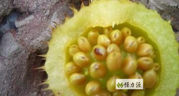 ���� (32).jpg