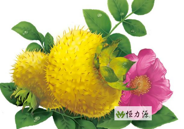 ���� (33).jpg