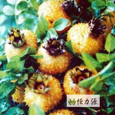 ���� (38).jpg