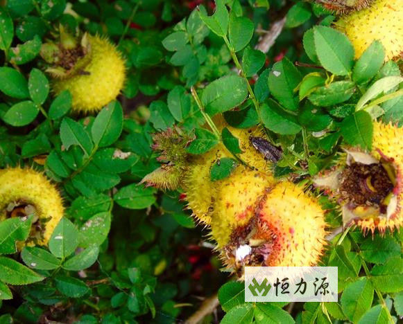 ���� (39).jpg