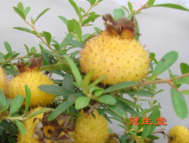 ���� (39).jpg