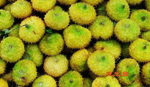 1491375560833827.jpg 刺梨栽种技术之花果管理要求