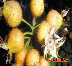 ��װ���������Ѵ���ĵ��±���Ч��