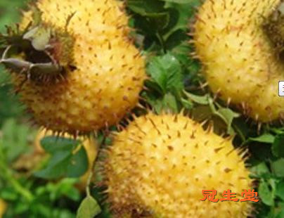 ��װ���������Ѵ���ĵ��±���Ч��