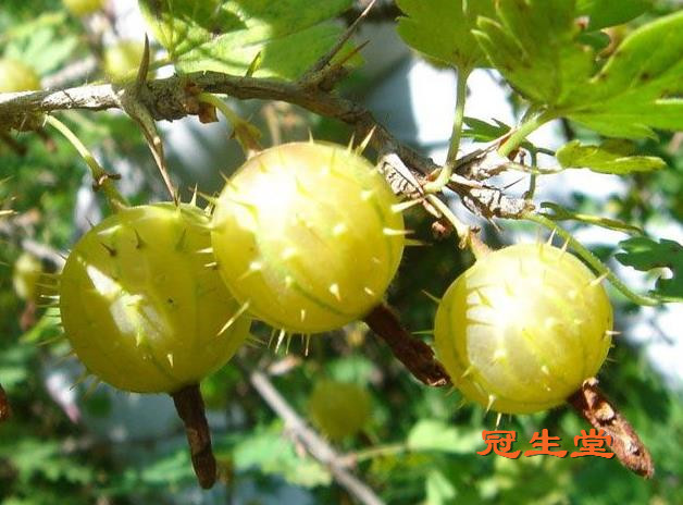 ���� (18).jpg