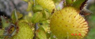 ���� (12).jpg