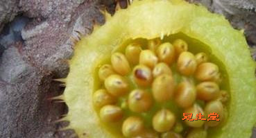 �����Ѵ���ĵ��±���Ч��ʵ������뷽��