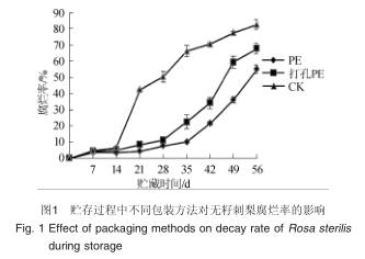 1491552119982455.jpg 1.jpg