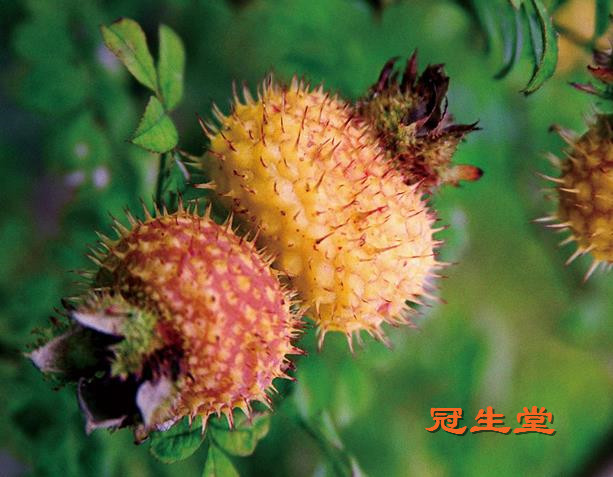 ���� (14).jpg