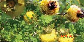 ���Ѵ�������Ʒ�ʾ�����ͬ��װ��������������仯