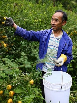 ������ͬʱ�ڼ���ͬ���ʶԴ��洺��������Ӱ��ķ������