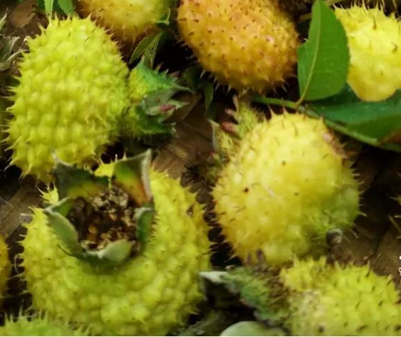 1494489699757098.jpg 360截图20170420101659197.jpg