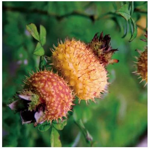 1514884635637249.jpg 360截图20180102171129290.jpg