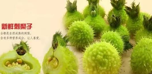 1515740371715051.jpg 360截图20180112145720535.jpg