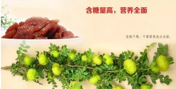 1515740396914656.jpg 360截图20180112145725359.jpg