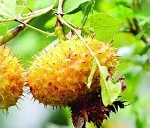 1515740434259394.jpg 360截图20180112145728991.jpg