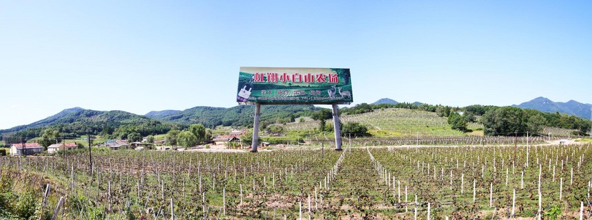 1514943653501798.jpg QQ截图20180103093956.jpg