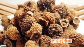 中国刺梨网 (95).jpg