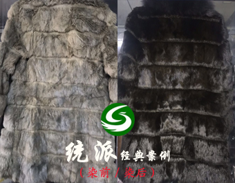 1550654677707434.jpg 皮草染色3.jpg
