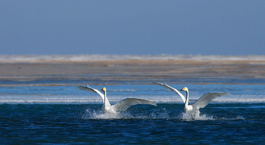 青海西宁旅游,景点,美食攻略