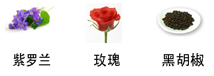 索菲亚马尔贝克珍藏香气1.png