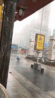 4.gif
