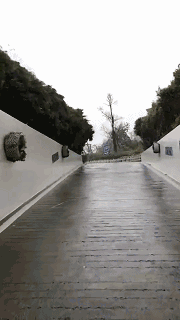 5.gif