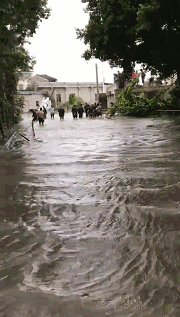 6.gif