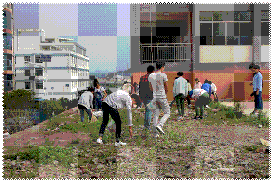 1498717905441680.gif IMG_3219