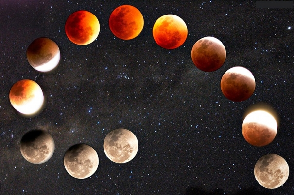 {605x4.jpg