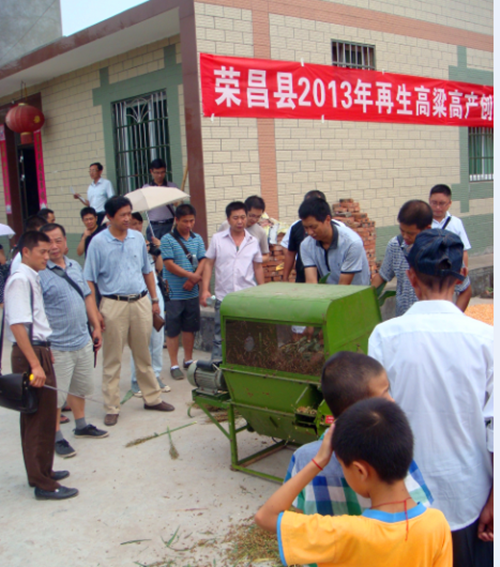重庆市种植业主推技术——再生高粱高产高效种植技术