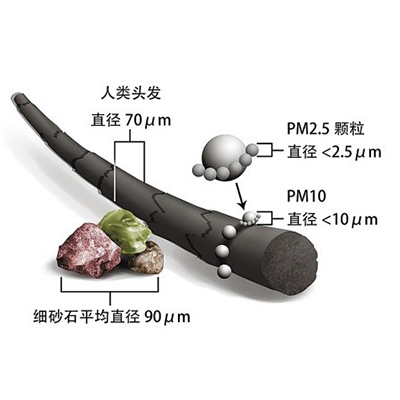 pm2.5ϸ