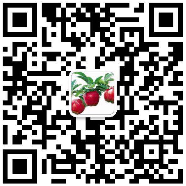 1515985226681300.jpg