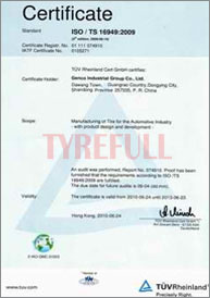 ISO TS16949 (INTERNATIONAL) 