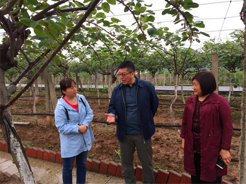 北京市顺义区牛栏山镇党委书记郝蔚泉一行四人到西峡县考察对口帮扶