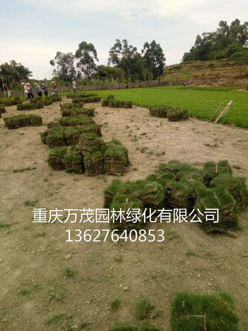 ΢ňDƬ_20180716120148.jpg