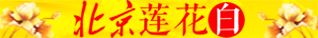 δ-2.jpg