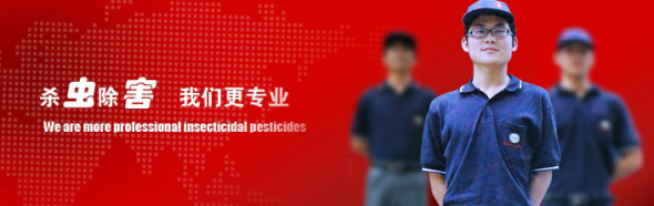 除虫公司，灭蚂蚁方法，快速有效消灭蚂蚁，清波控虫，灭蚂蚁公司