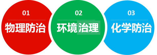 除虫公司，灭蚂蚁方法，快速有效消灭蚂蚁，清波控虫，灭蚂蚁公司
